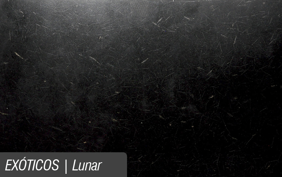 EXÓTICOS_LUNAR.jpg