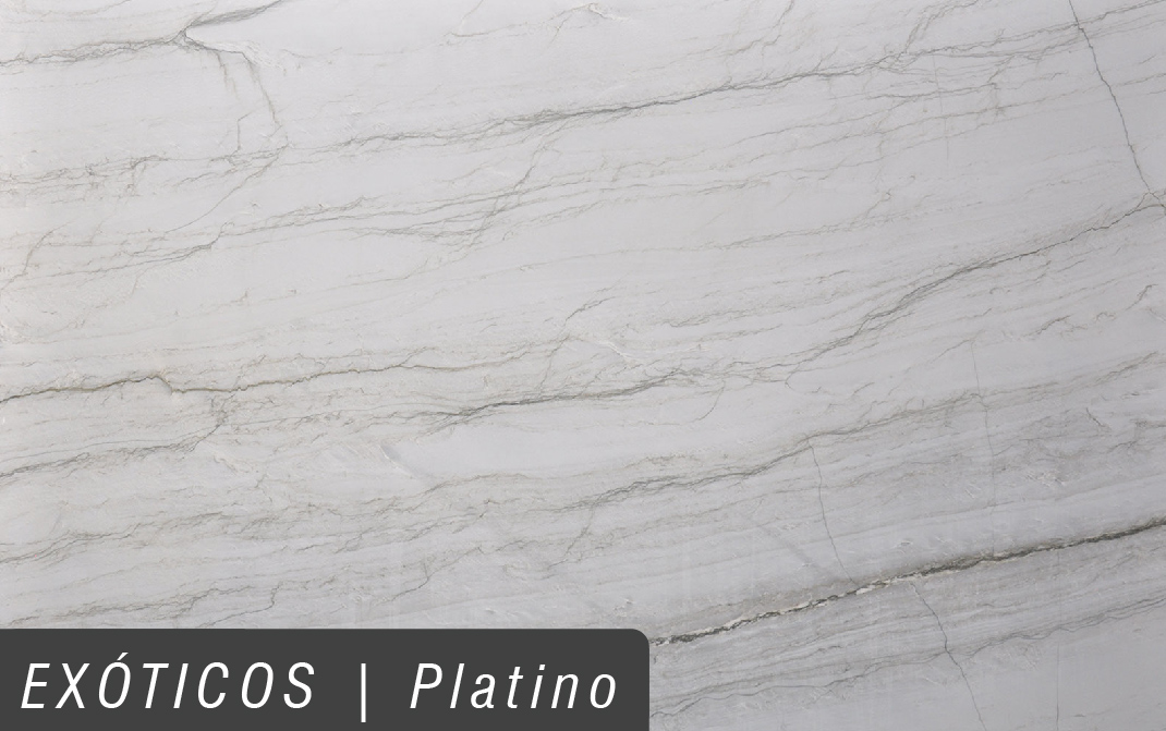 EXÓTICOS_PLATINO.jpg