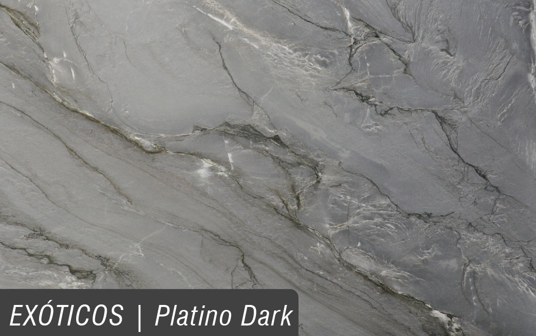 EXÓTICOS_PLATINO-DARK.jpg
