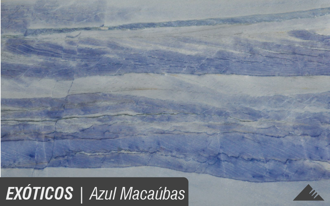 EXÓTICOS_AZUL-MACAÚBAS.jpg