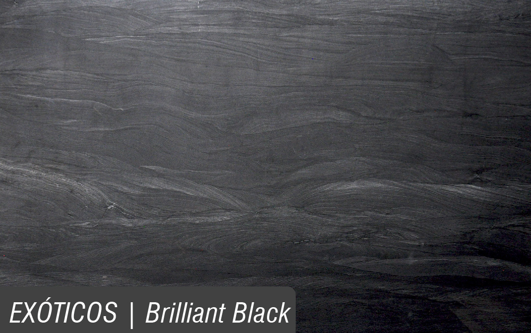 EXÓTICOS_BRILLIANT-BLACK.jpg