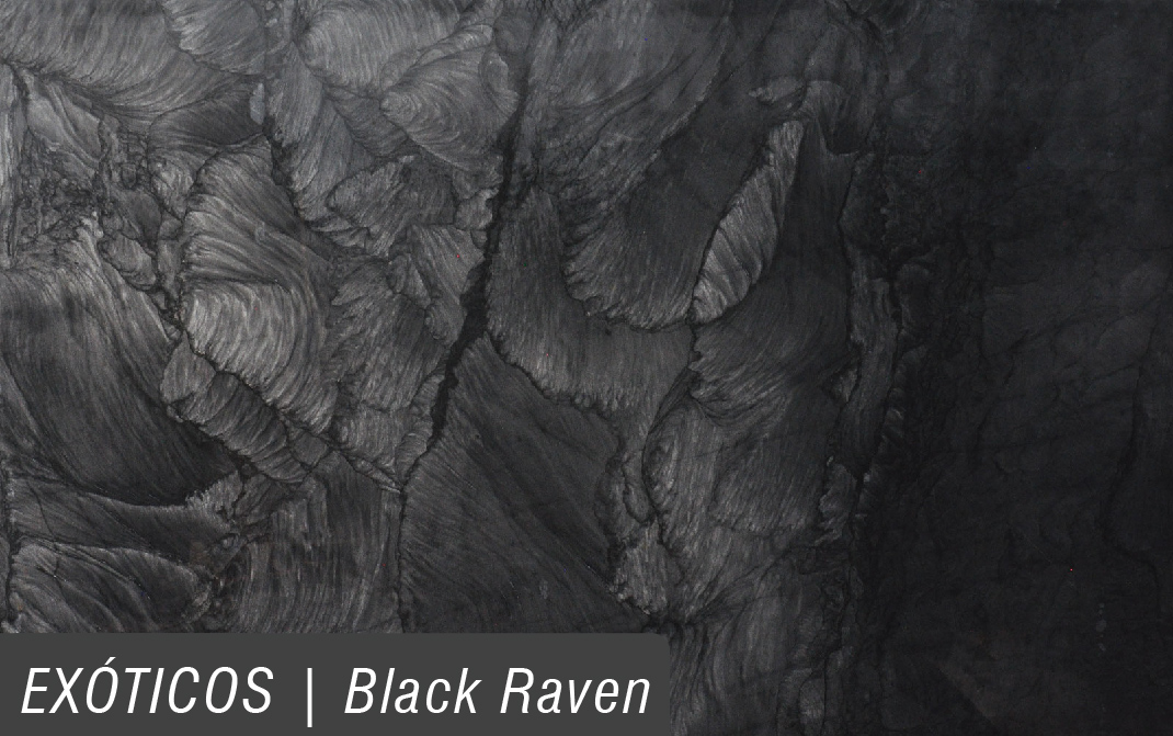 EXÓTICOS_BLACK HEAVEN.jpg